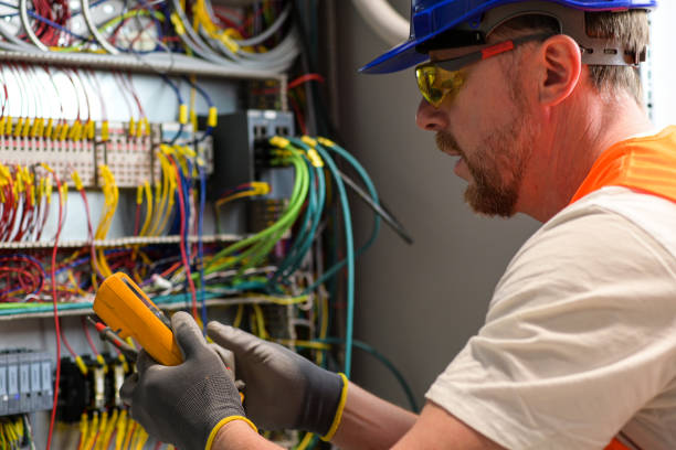 Best Electric Panel Repair  in Laware City, DE
